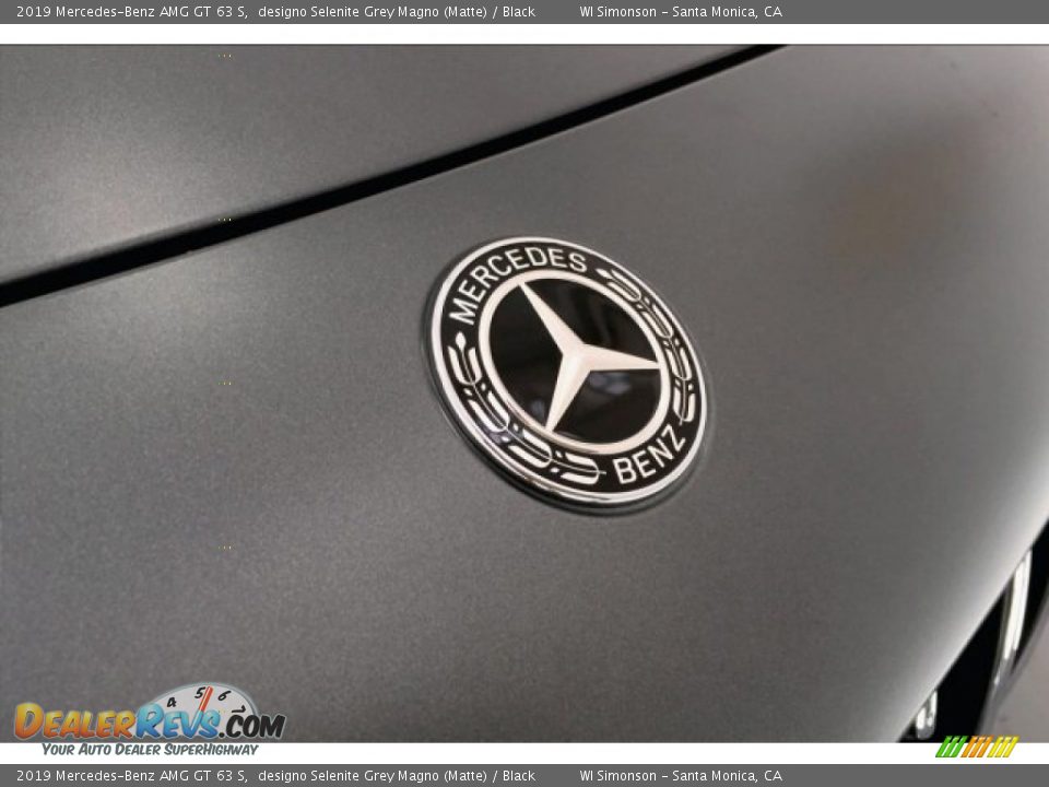 2019 Mercedes-Benz AMG GT 63 S designo Selenite Grey Magno (Matte) / Black Photo #33