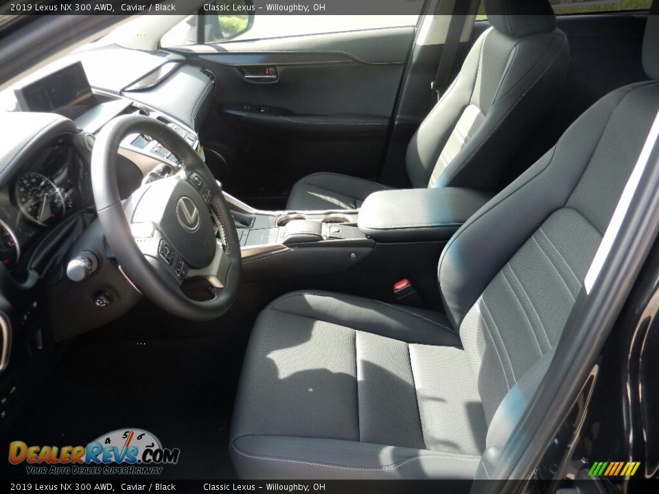 2019 Lexus NX 300 AWD Caviar / Black Photo #2