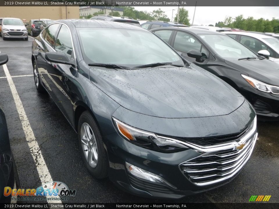 2019 Chevrolet Malibu LS Shadow Gray Metallic / Jet Black Photo #6