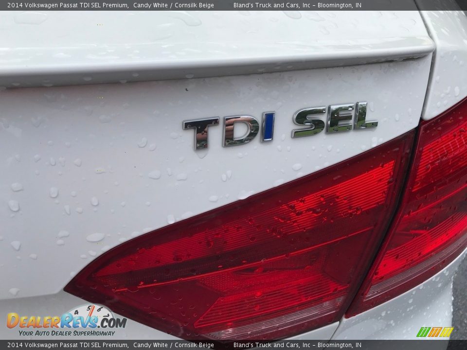 2014 Volkswagen Passat TDI SEL Premium Candy White / Cornsilk Beige Photo #8