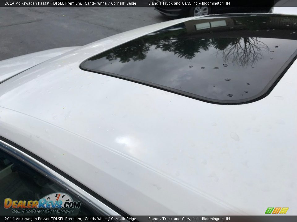 2014 Volkswagen Passat TDI SEL Premium Candy White / Cornsilk Beige Photo #9