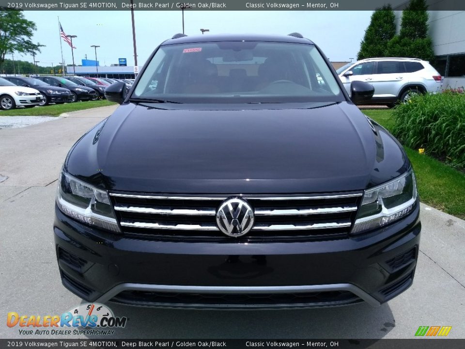 2019 Volkswagen Tiguan SE 4MOTION Deep Black Pearl / Golden Oak/Black Photo #2