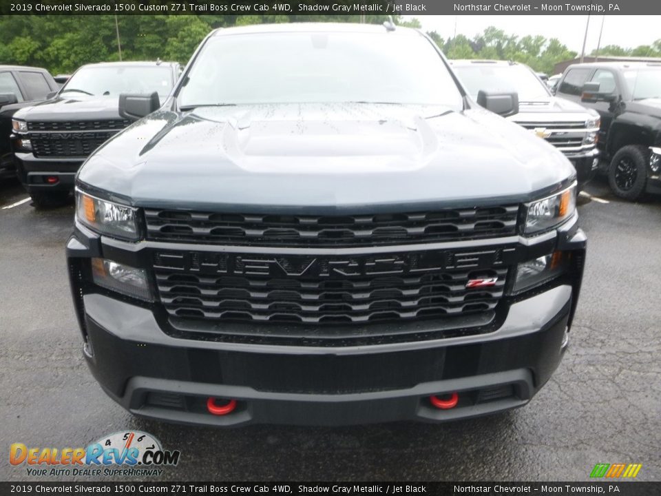 2019 Chevrolet Silverado 1500 Custom Z71 Trail Boss Crew Cab 4WD Shadow Gray Metallic / Jet Black Photo #8