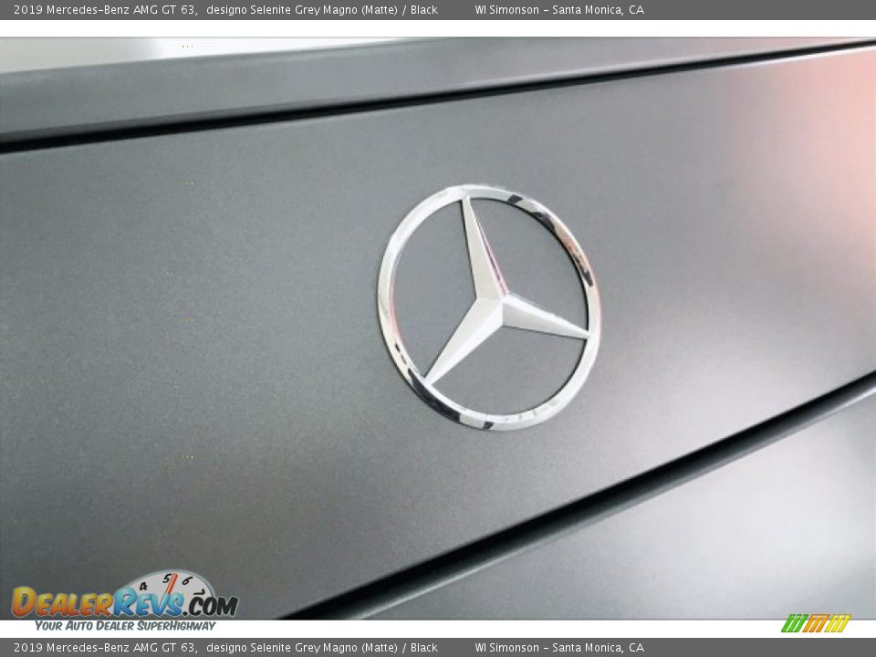 2019 Mercedes-Benz AMG GT 63 designo Selenite Grey Magno (Matte) / Black Photo #27