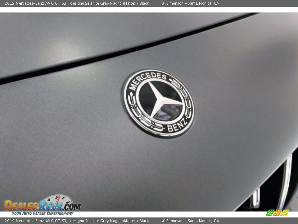 2019 Mercedes-Benz AMG GT 63 designo Selenite Grey Magno (Matte) / Black Photo #33