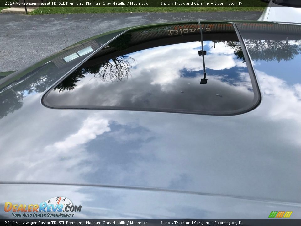 2014 Volkswagen Passat TDI SEL Premium Platinum Gray Metallic / Moonrock Photo #10