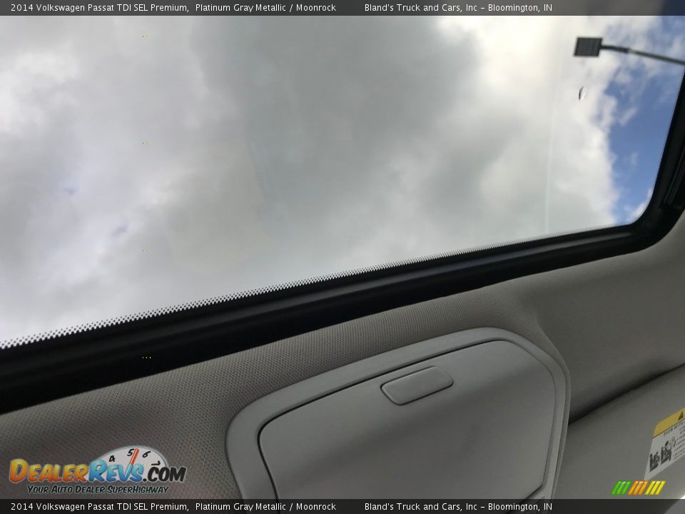 2014 Volkswagen Passat TDI SEL Premium Platinum Gray Metallic / Moonrock Photo #19