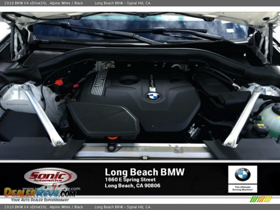 2019 BMW X4 xDrive30i Alpine White / Black Photo #8