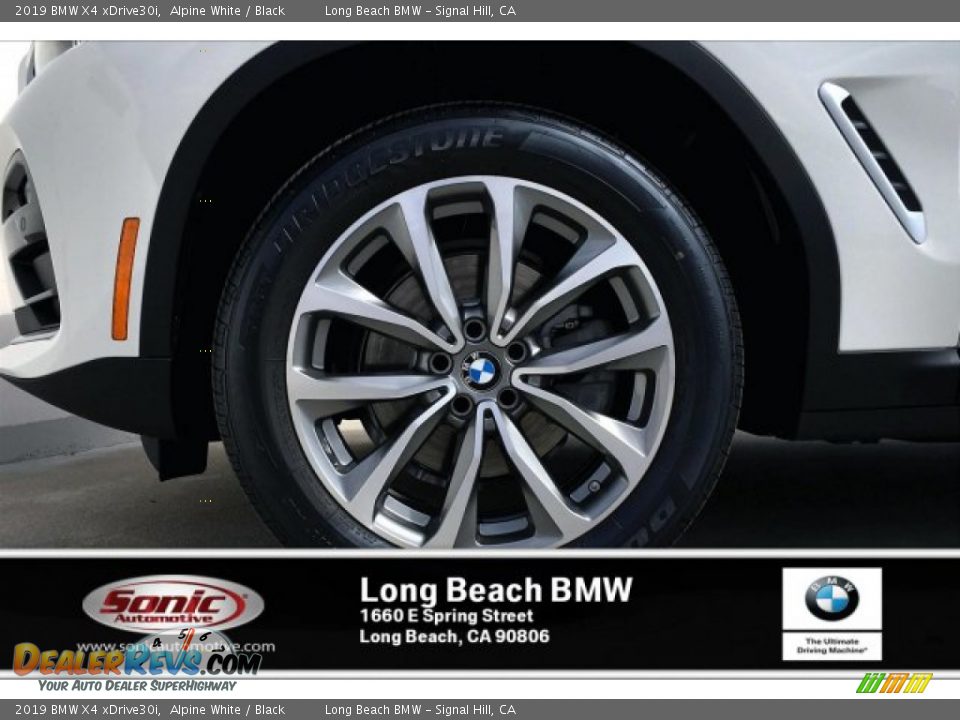 2019 BMW X4 xDrive30i Alpine White / Black Photo #9