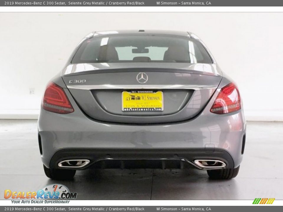 2019 Mercedes-Benz C 300 Sedan Selenite Grey Metallic / Cranberry Red/Black Photo #3