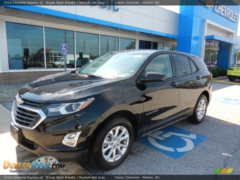 2019 Chevrolet Equinox LS Mosaic Black Metallic / Medium Ash Gray Photo #1