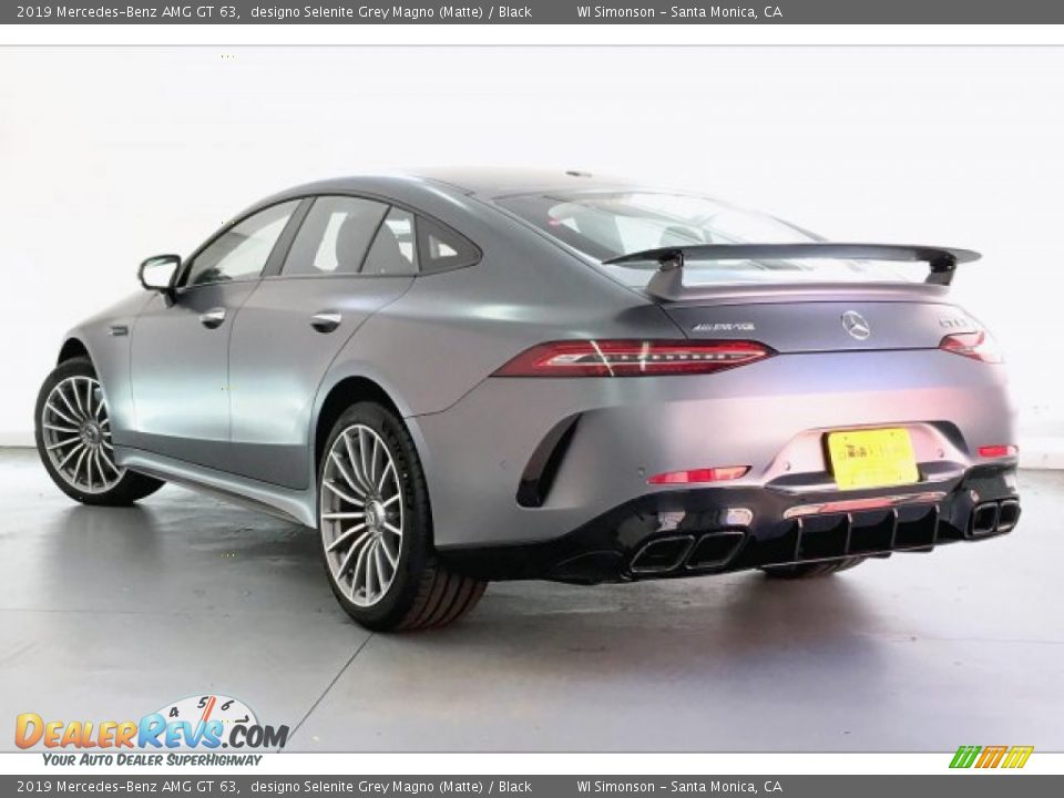 2019 Mercedes-Benz AMG GT 63 designo Selenite Grey Magno (Matte) / Black Photo #10