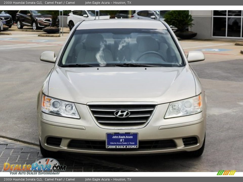2009 Hyundai Sonata GLS Camel Pearl / Camel Photo #2