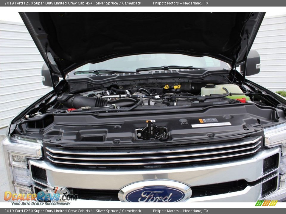 2019 Ford F250 Super Duty Limited Crew Cab 4x4 Silver Spruce / Camelback Photo #22