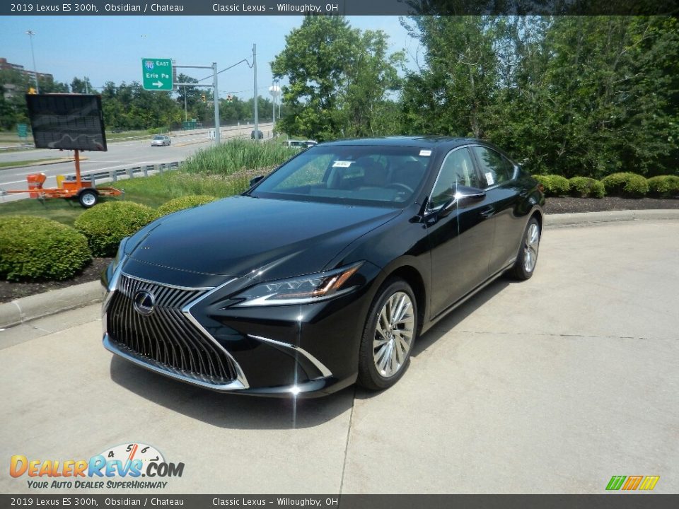 2019 Lexus ES 300h Obsidian / Chateau Photo #1