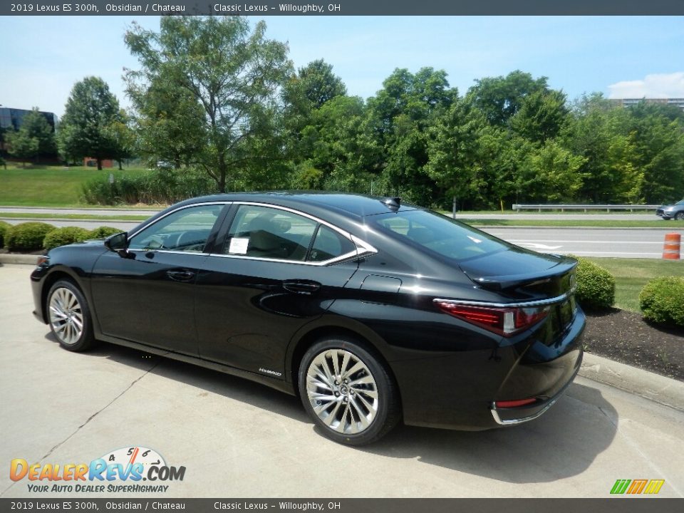 2019 Lexus ES 300h Obsidian / Chateau Photo #4