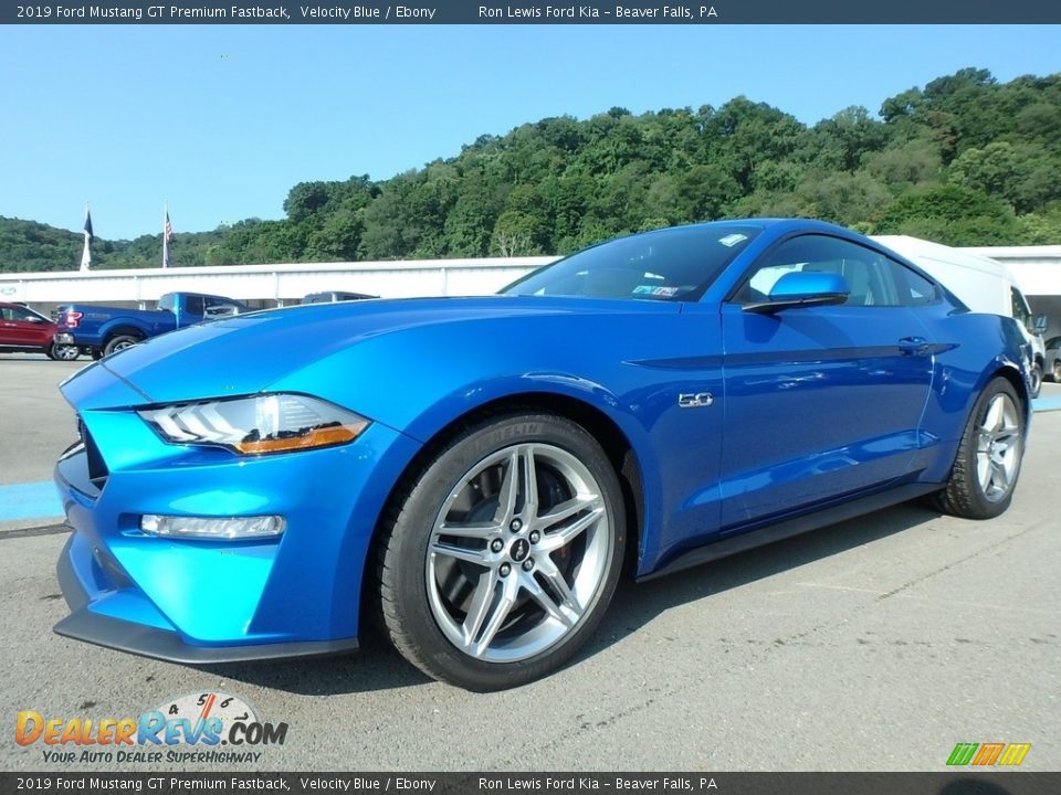 2019 Ford Mustang GT Premium Fastback Velocity Blue / Ebony Photo #6