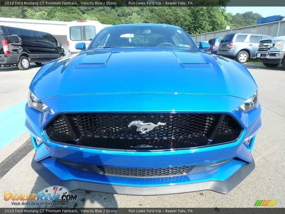 2019 Ford Mustang GT Premium Fastback Velocity Blue / Ebony Photo #8