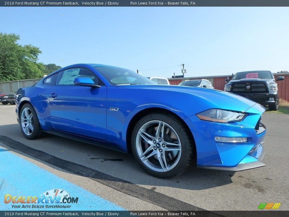 2019 Ford Mustang GT Premium Fastback Velocity Blue / Ebony Photo #9