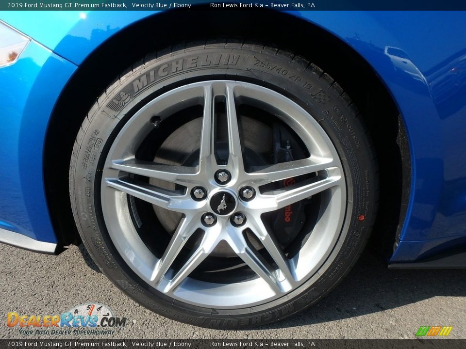 2019 Ford Mustang GT Premium Fastback Velocity Blue / Ebony Photo #10
