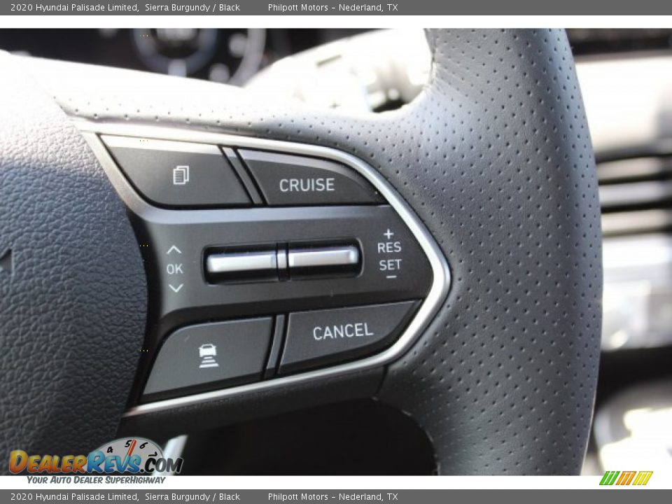 2020 Hyundai Palisade Limited Steering Wheel Photo #11