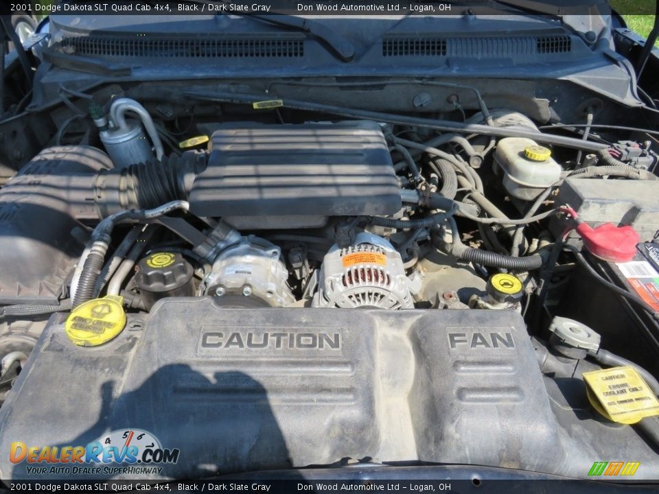 2001 Dodge Dakota SLT Quad Cab 4x4 Black / Dark Slate Gray Photo #6