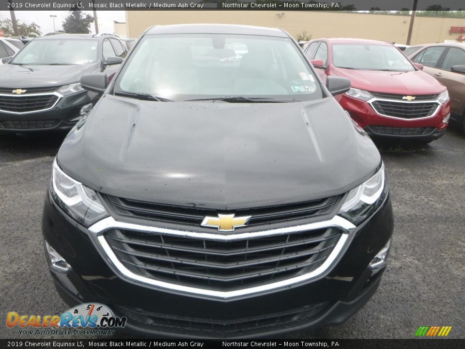 2019 Chevrolet Equinox LS Mosaic Black Metallic / Medium Ash Gray Photo #8
