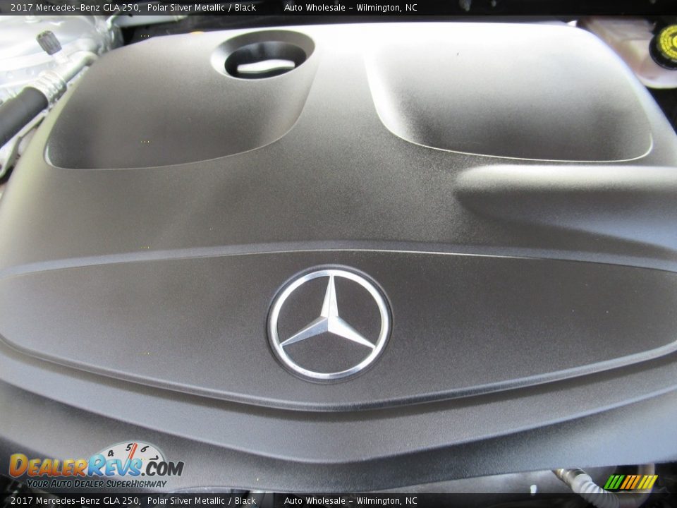 2017 Mercedes-Benz GLA 250 Polar Silver Metallic / Black Photo #6