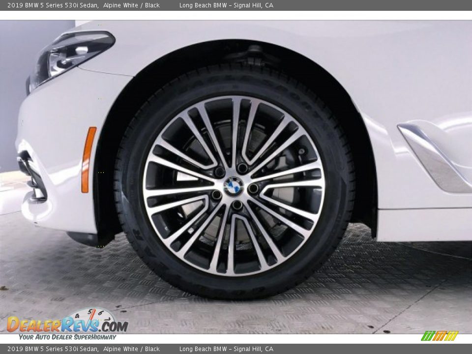 2019 BMW 5 Series 530i Sedan Alpine White / Black Photo #8