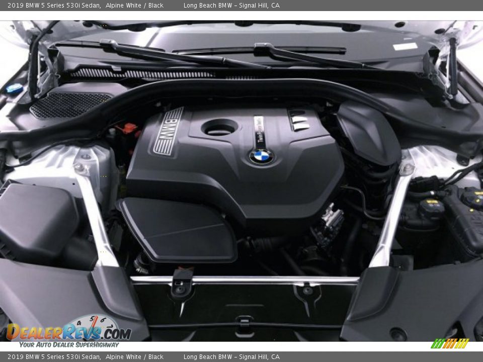 2019 BMW 5 Series 530i Sedan Alpine White / Black Photo #9