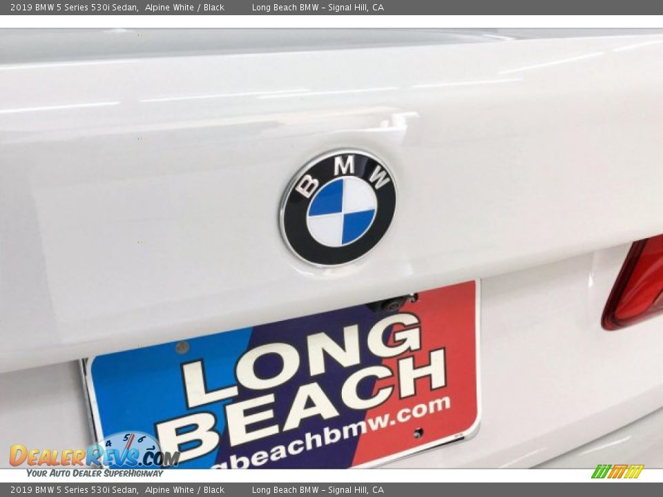 2019 BMW 5 Series 530i Sedan Alpine White / Black Photo #23