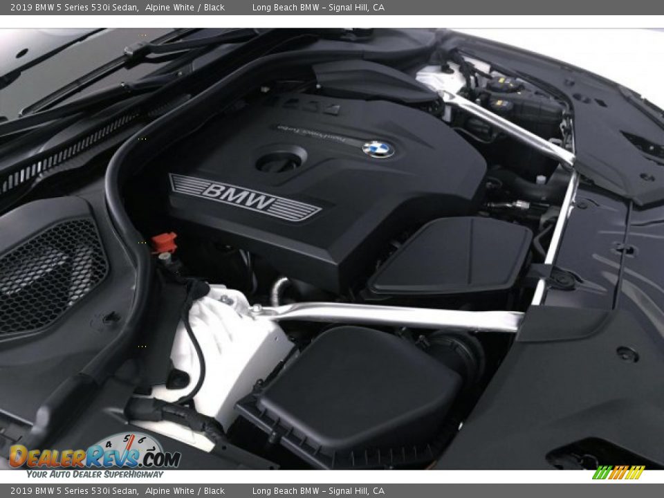 2019 BMW 5 Series 530i Sedan Alpine White / Black Photo #27