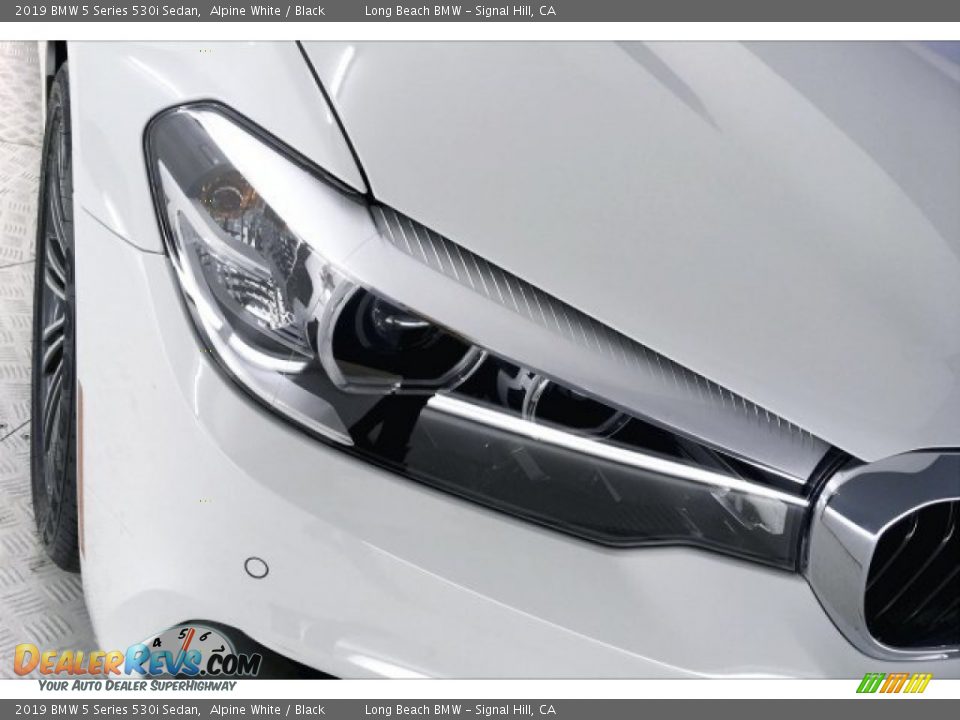 2019 BMW 5 Series 530i Sedan Alpine White / Black Photo #28