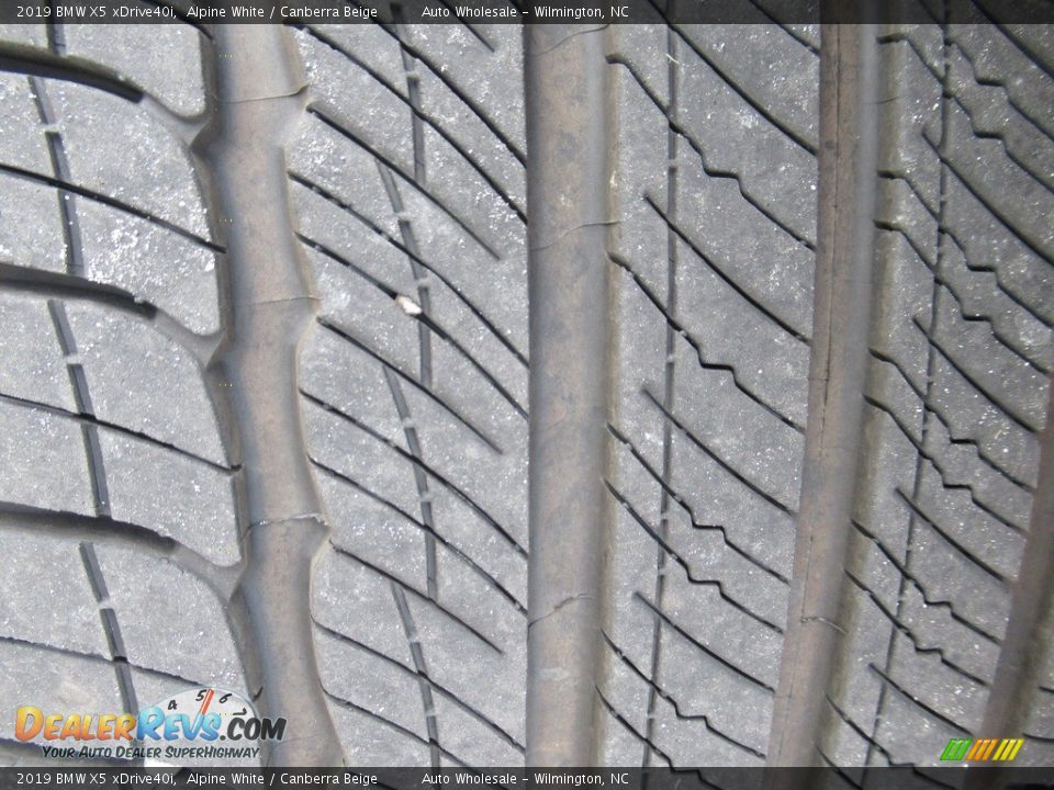 2019 BMW X5 xDrive40i Alpine White / Canberra Beige Photo #9