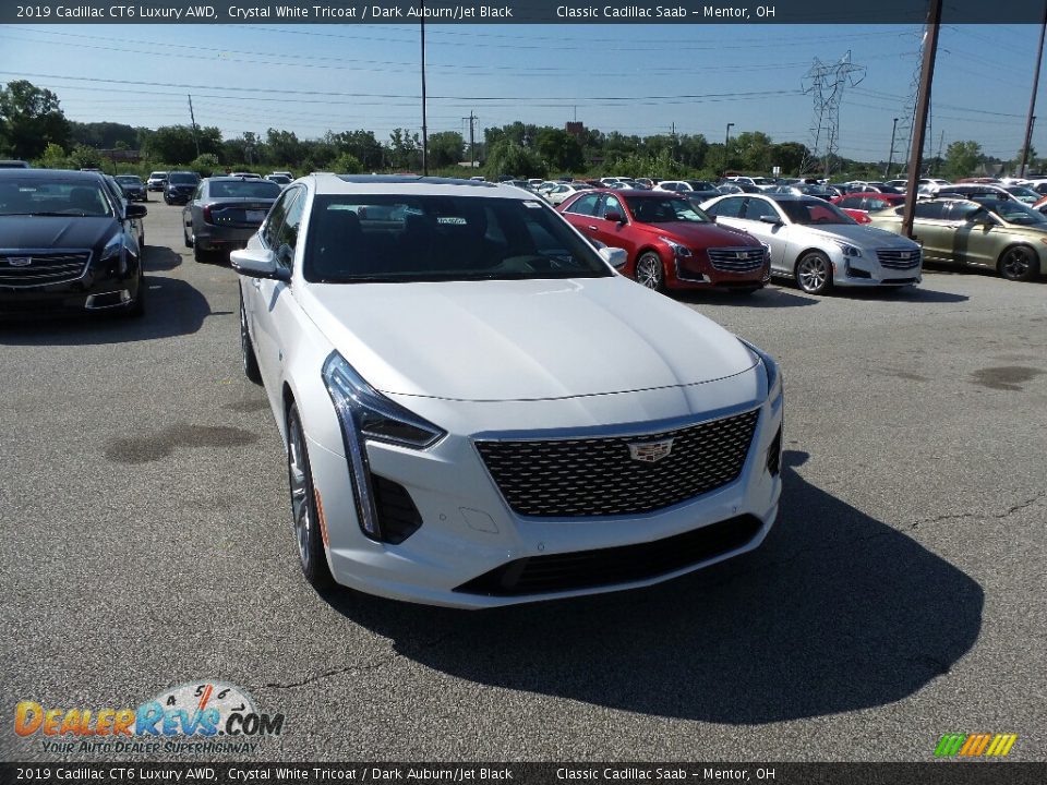 2019 Cadillac CT6 Luxury AWD Crystal White Tricoat / Dark Auburn/Jet Black Photo #1