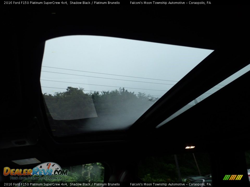 2016 Ford F150 Platinum SuperCrew 4x4 Shadow Black / Platinum Brunello Photo #20