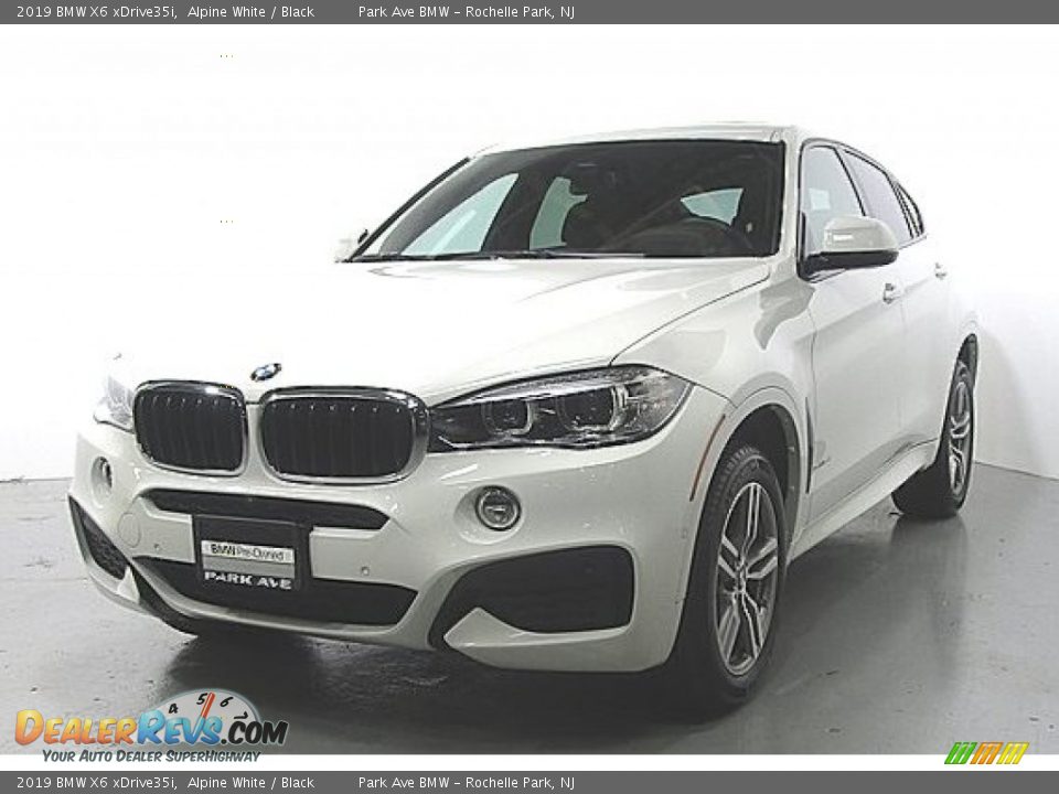 2019 BMW X6 xDrive35i Alpine White / Black Photo #1