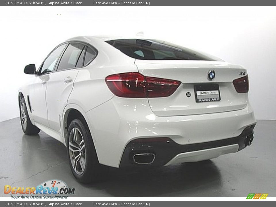 2019 BMW X6 xDrive35i Alpine White / Black Photo #3
