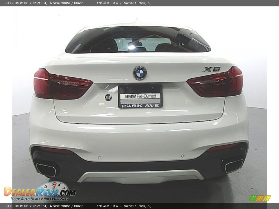 2019 BMW X6 xDrive35i Alpine White / Black Photo #4