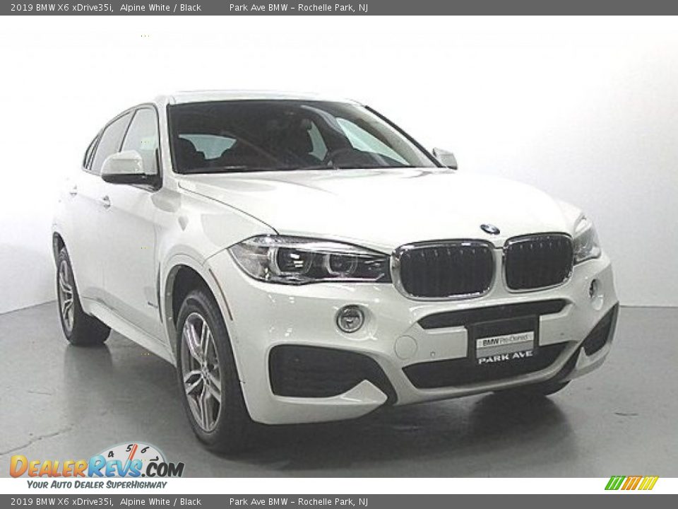 2019 BMW X6 xDrive35i Alpine White / Black Photo #6