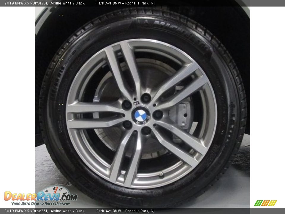 2019 BMW X6 xDrive35i Alpine White / Black Photo #29