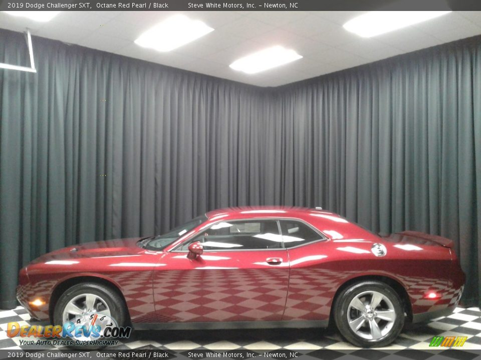 2019 Dodge Challenger SXT Octane Red Pearl / Black Photo #1