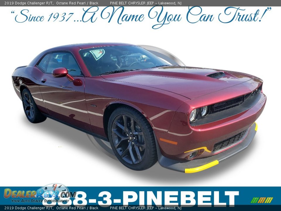 2019 Dodge Challenger R/T Octane Red Pearl / Black Photo #1