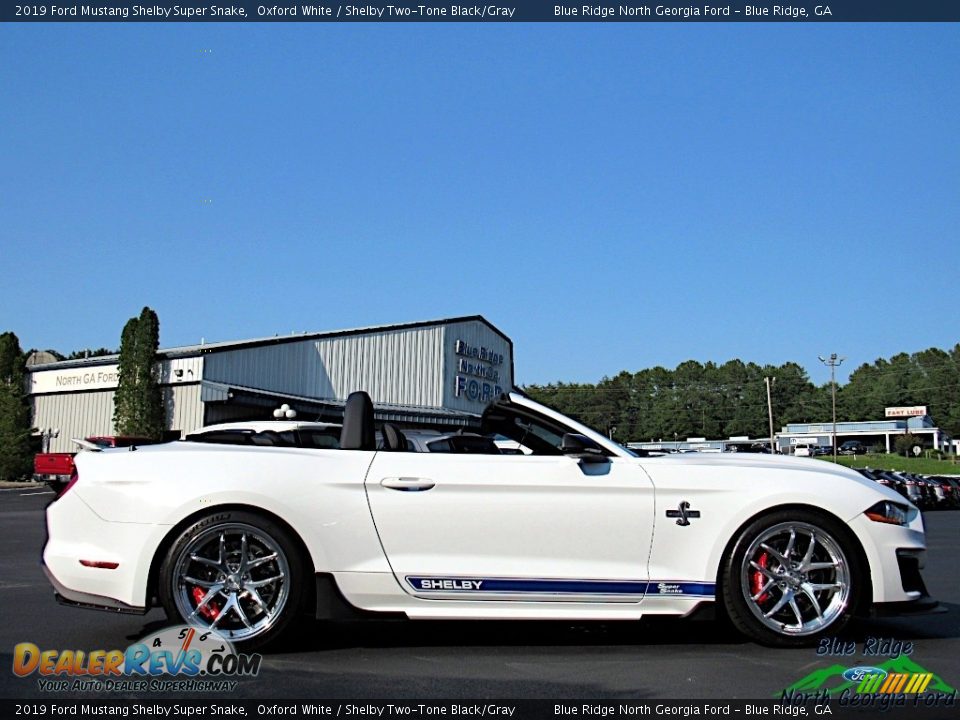 2019 Ford Mustang Shelby Super Snake Oxford White / Shelby Two-Tone Black/Gray Photo #6