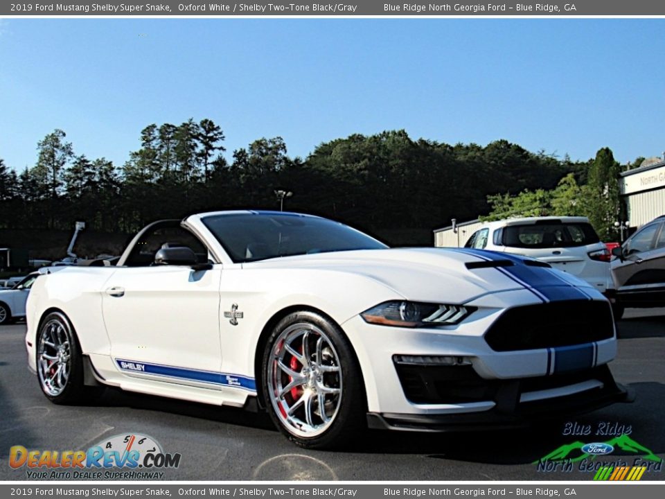 2019 Ford Mustang Shelby Super Snake Oxford White / Shelby Two-Tone Black/Gray Photo #8