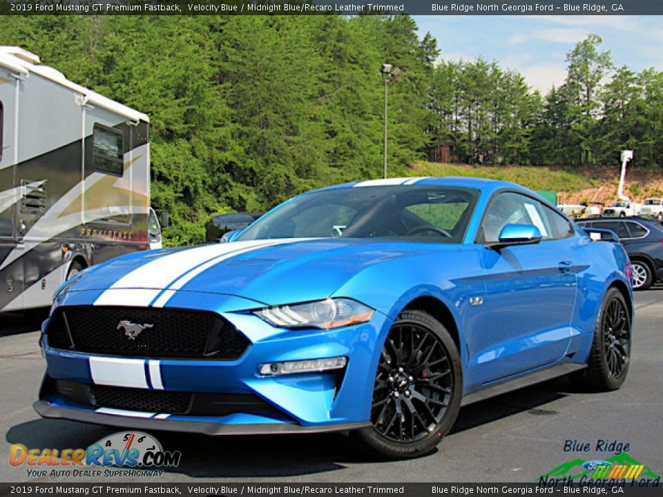 2019 Ford Mustang GT Premium Fastback Velocity Blue / Midnight Blue/Recaro Leather Trimmed Photo #1