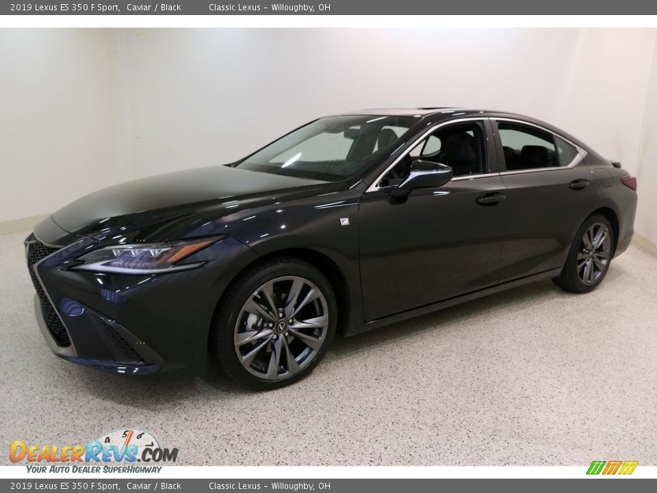 2019 Lexus ES 350 F Sport Caviar / Black Photo #3