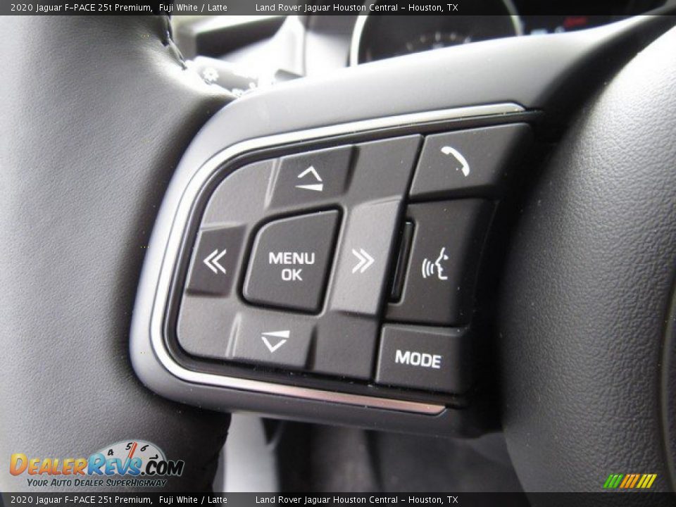 2020 Jaguar F-PACE 25t Premium Steering Wheel Photo #29