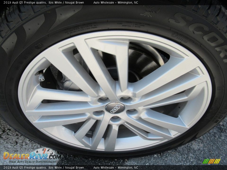 2019 Audi Q5 Prestige quattro Ibis White / Nougat Brown Photo #7