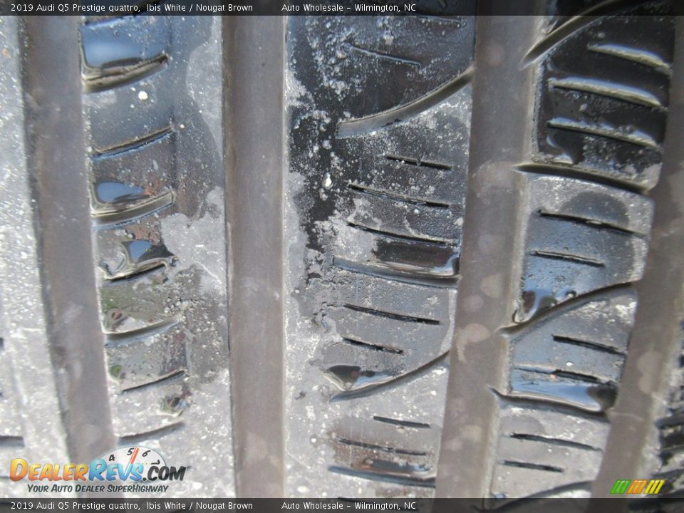 2019 Audi Q5 Prestige quattro Ibis White / Nougat Brown Photo #8